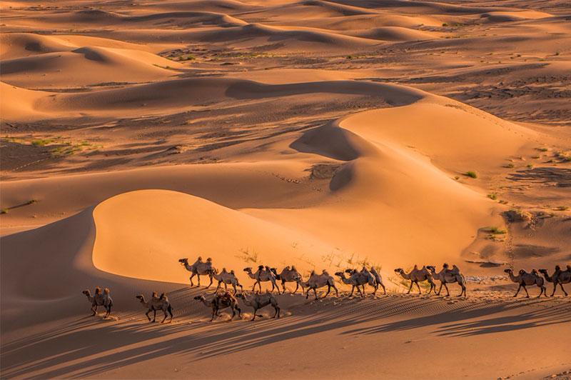 mongolia gobi landscape photos 